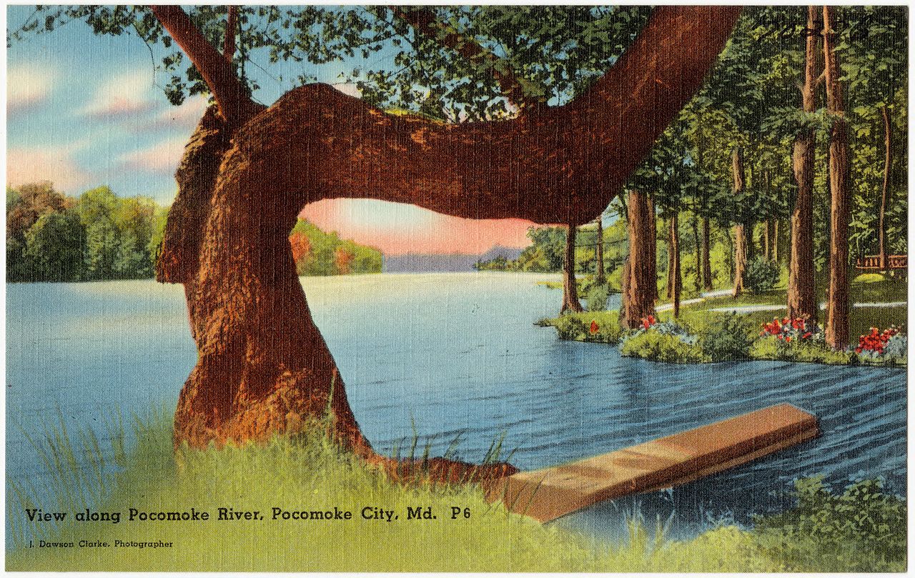 View_along_Pocomoke_River,_Pocomoke_City,_Md_(70296)