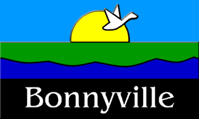 Bonnyville-flag